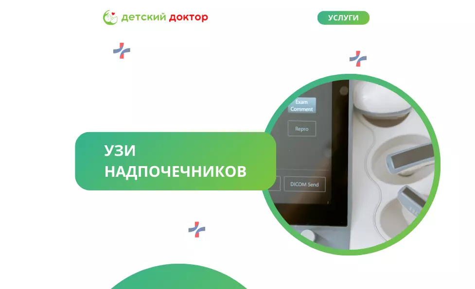 УЗИ надпочечников